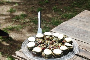 prtobelo mashrooms with goat chees